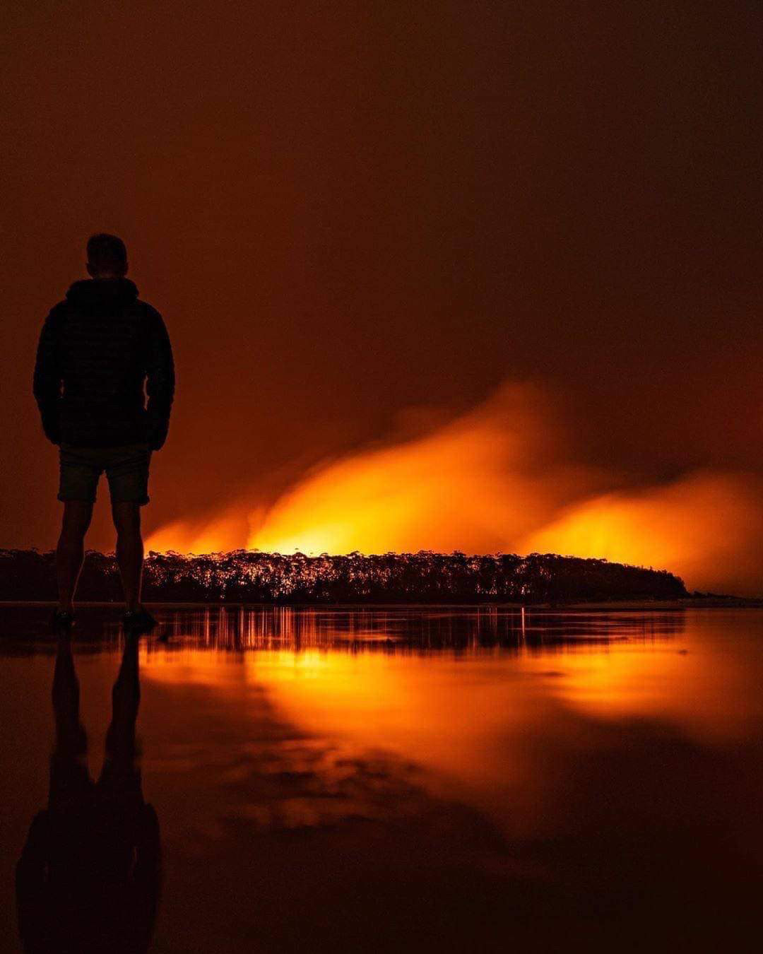 NSW BUSHFIRES australia