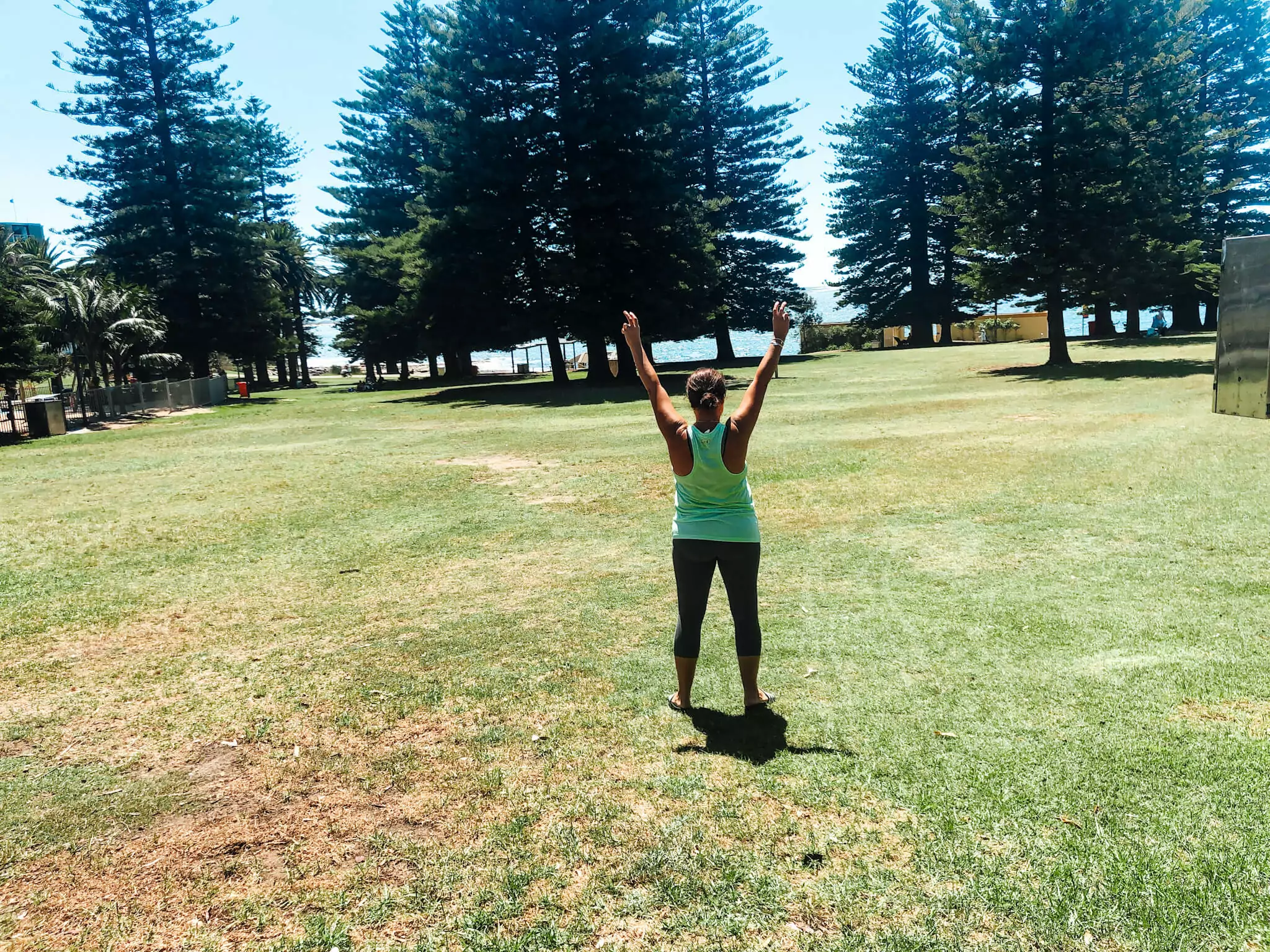 shelly beach hike sydney