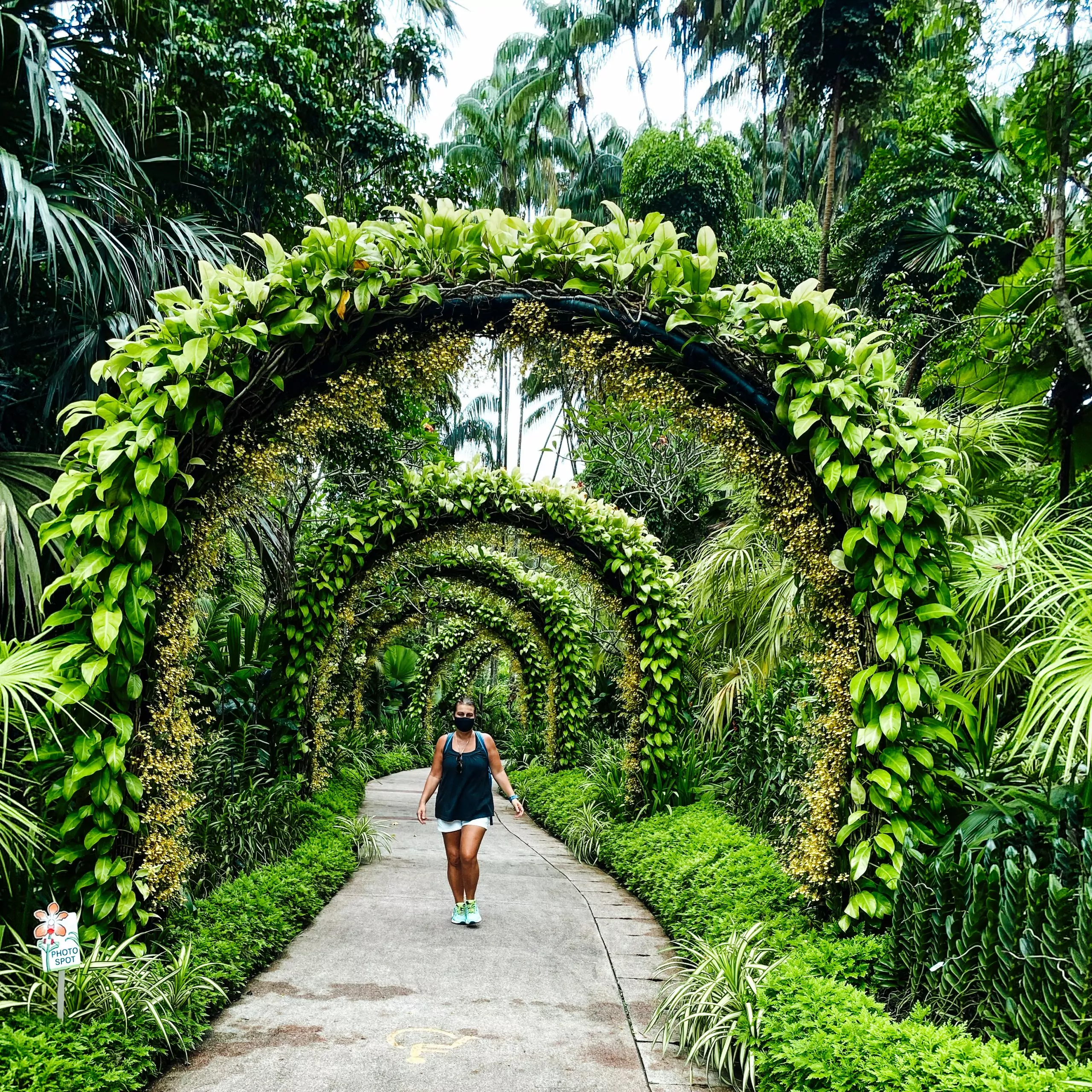 Singapore Botanic Gardens