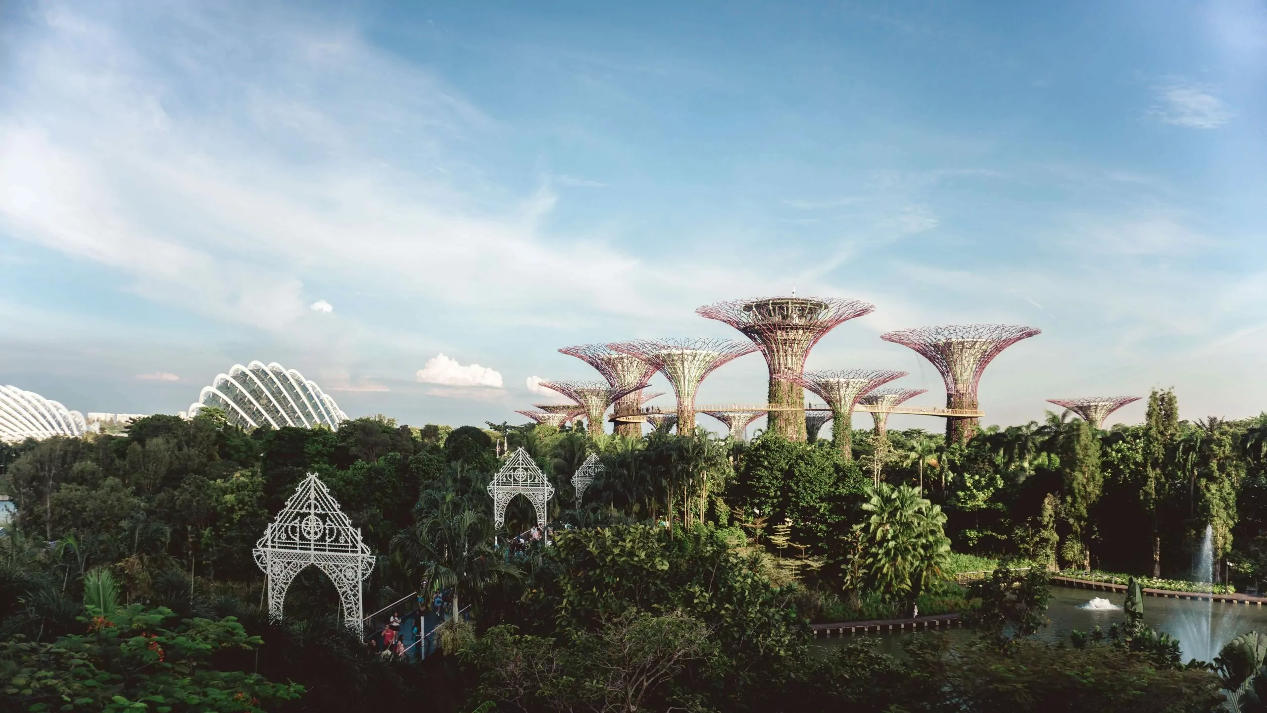 SIngapore expat stories