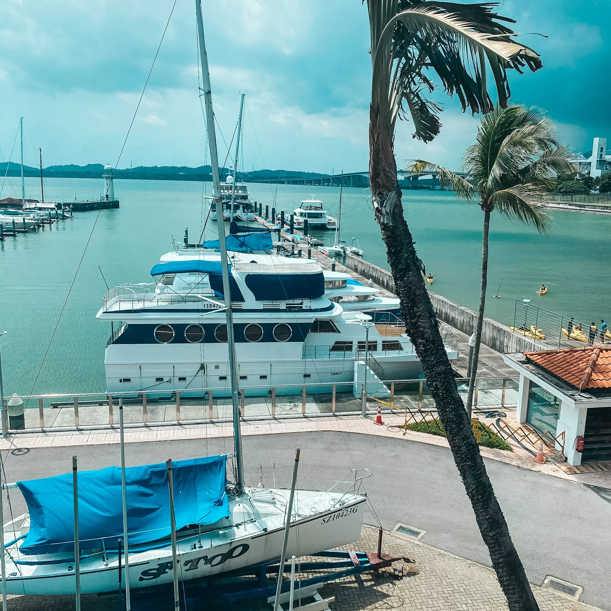 View from Raffles Marina