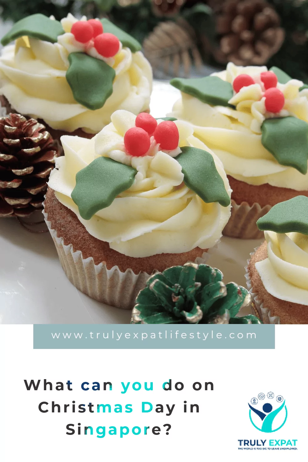 What can you do on Christmas Day in Singapore?