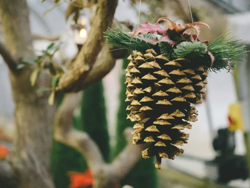 Photo by John Salvino on Unsplash